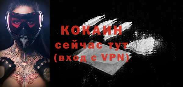 стаф Магас