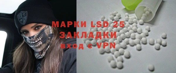 стаф Магас