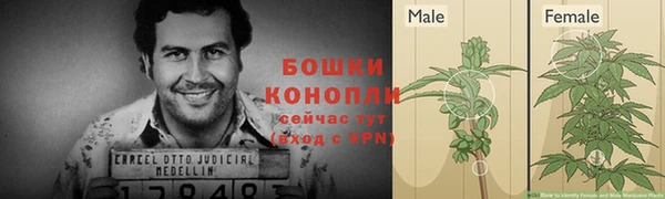 СК Майский