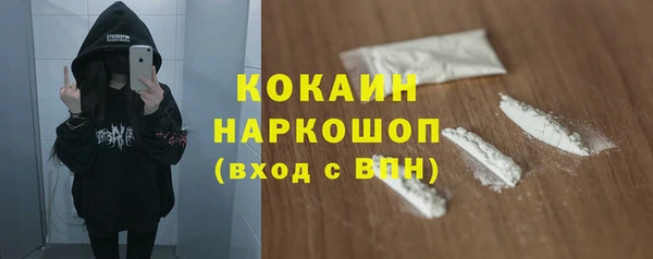 стаф Магас