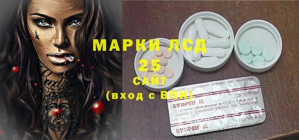 стаф Магас