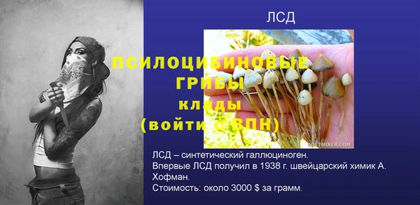 стаф Магас
