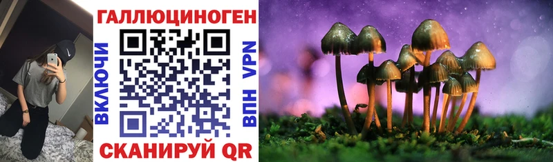 Псилоцибиновые грибы Cubensis Фурманов