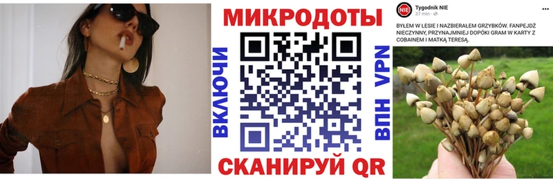 наркота  Фурманов  Псилоцибиновые грибы ЛСД 