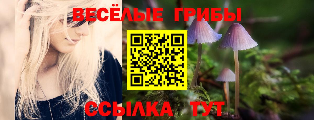 где продают   Галлюциногенные грибы мицелий  Вход с VPN  Псилоцибиновые грибы Psilocybine cubensis  Фурманов 